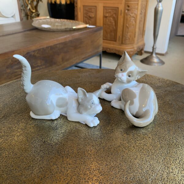 img 4553