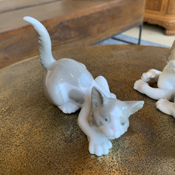img 4554
